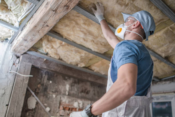 Best Residential Insulation in Medicine Lodge, KS
